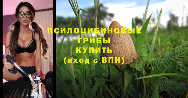 соль курить ск Абаза