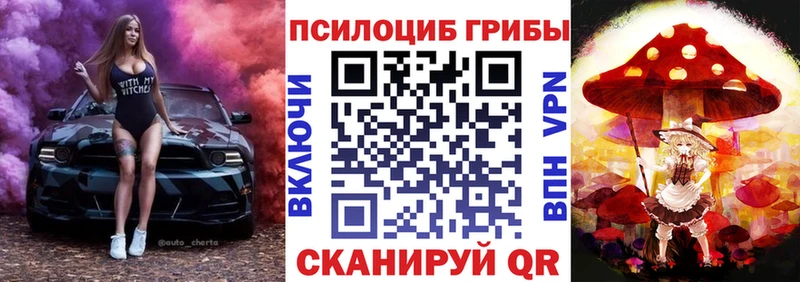 Галлюциногенные грибы ЛСД где продают наркотики Братск
